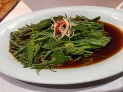 炝拌丝瓜尖-北平盛世·新京菜·北京烤鸭(劲松·双井店)