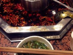 -杨肥肠火锅大排档(火车站花园店)