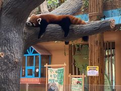 -辛玛王国游乐园