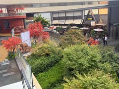 -石家庄万象城