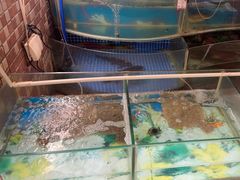 -南方酒店·淮扬菜(回民街店)