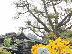 -光孝寺