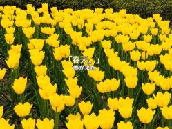 -玄武湖景区-情侣园游乐场