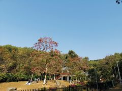 -火炉山森林公园