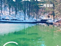 -四明山国家森林公园
