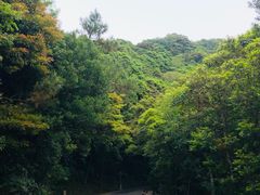 -梧桐山风景名胜区