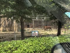 -秦皇岛野生动物园