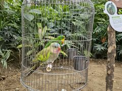 -南宫五洲植物乐园