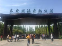 -黄海国家森林公园