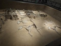 -洛阳周王城天子驾六博物馆