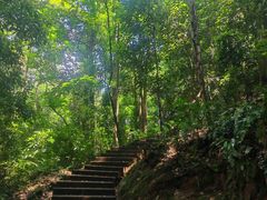 -凤栖山