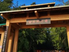 -北海金海湾红树林生态旅游区