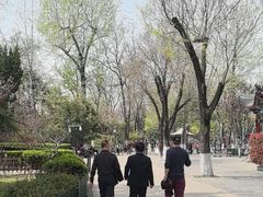 -莲湖公园