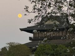 -海珠湖公园