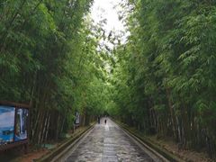-蝴蝶泉公园