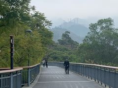 -金鸡山公园