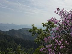 -午潮山国家森林公园