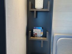 -新加坡瑞士史丹福酒店