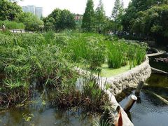 -成都市活水公园