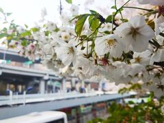 -上海南浦大桥长途旅游客运站