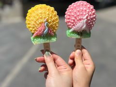 -西双版纳原始森林公园