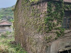 -枸杞岛