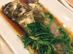 -大荣华酒楼(元朗老店)