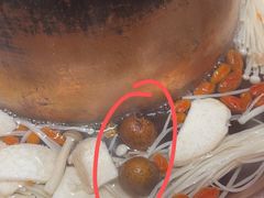 -东来顺铜锅炭火涮肉(上地华联店)