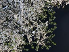 -杨高南路(地铁站)