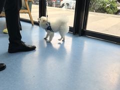 -博特宠物医院24h犬猫全科.骨科·异宠