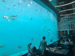 -瑞德姆美人鱼海底演艺主题餐厅(亚龙湾店)