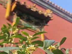 -北京市劳动人民文化宫
