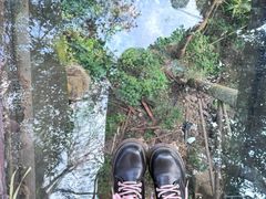 -野象谷景区