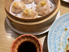 -菩提树·素食餐厅(汇智国际商业中心店)