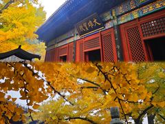 -红螺寺