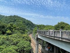 -钱塘江大桥