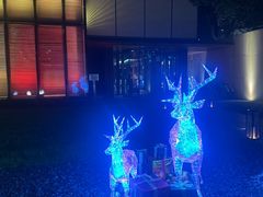 -九里云松·天香餐厅