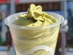 -萨朗刀克冰淇淋雪花凉(植物园店)