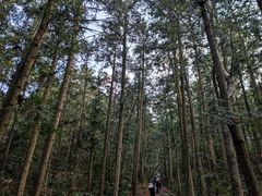 -达蓬山旅游度假区