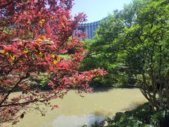 -上海醉白池公园