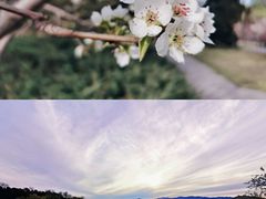 -颐和园