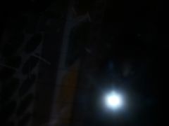 -海底捞火锅(杭州庆春路夜宵主题店)