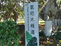 -万绿园