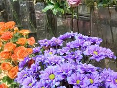 -ChaKo Flora ·茶子花艺 (市北店)