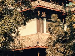 -乐山乌木文化博览苑