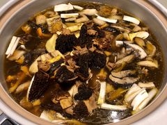 -爱膳菌锅锅(阳南店)