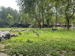 -秦皇岛野生动物园
