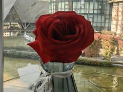 -蔓兰家的四季S0餐厅·融合菜(当代MOMA店)