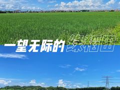 -崖口煲仔饭