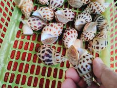 -大螃蟹海鲜餐厅